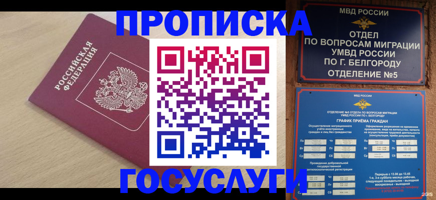 прописка законно в Киселёвске